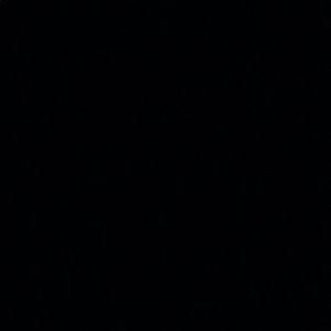 Meet your Posher, Moses